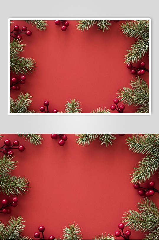 红色背景树叶果实圣诞节图片