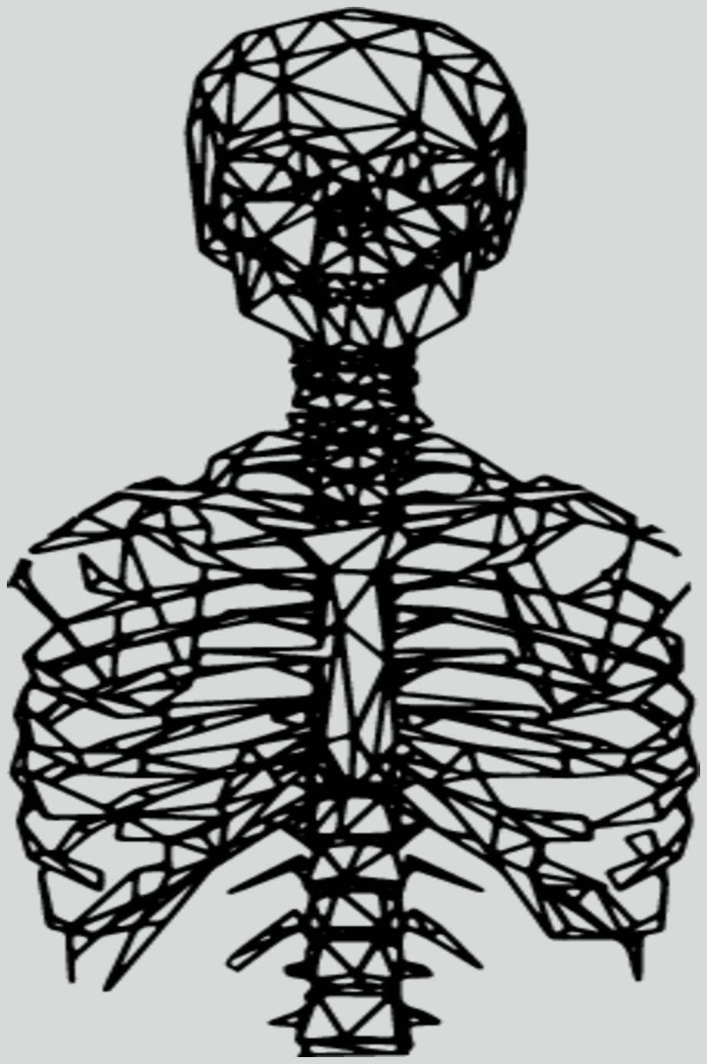 脊椎肋骨线描立体素材素材