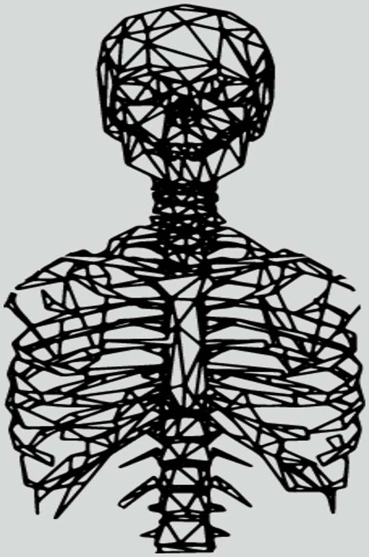 脊椎肋骨线描立体素材
