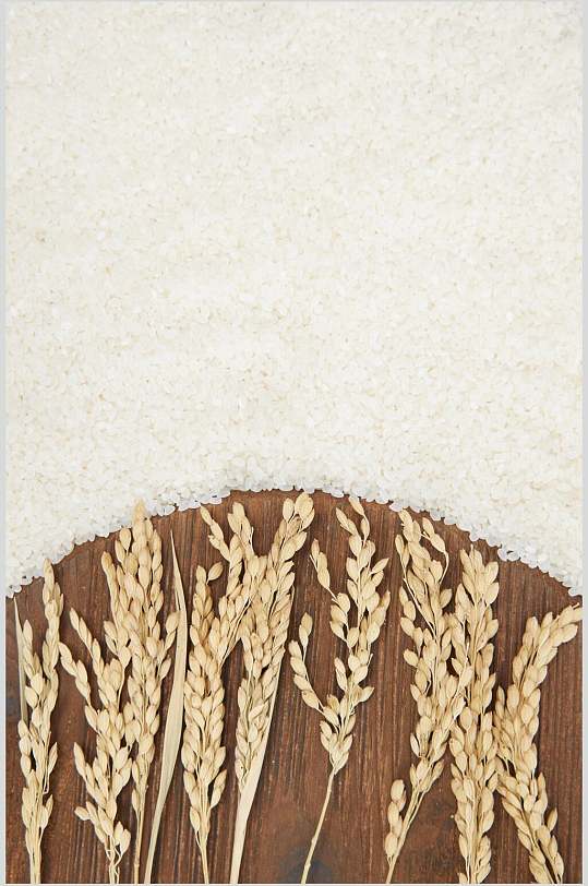 黄色穗稻大米图片