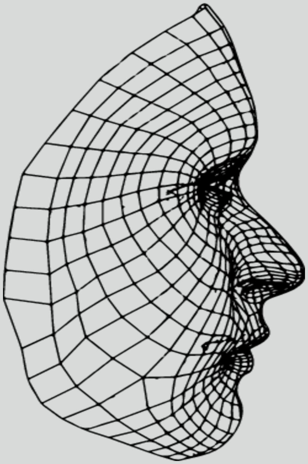 脸部线描立体素材素材