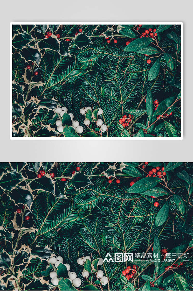 绿叶小红果子圣诞节图片素材