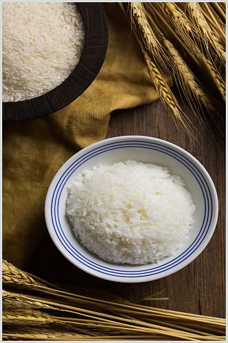 白瓷盘稻穗熟大米图片