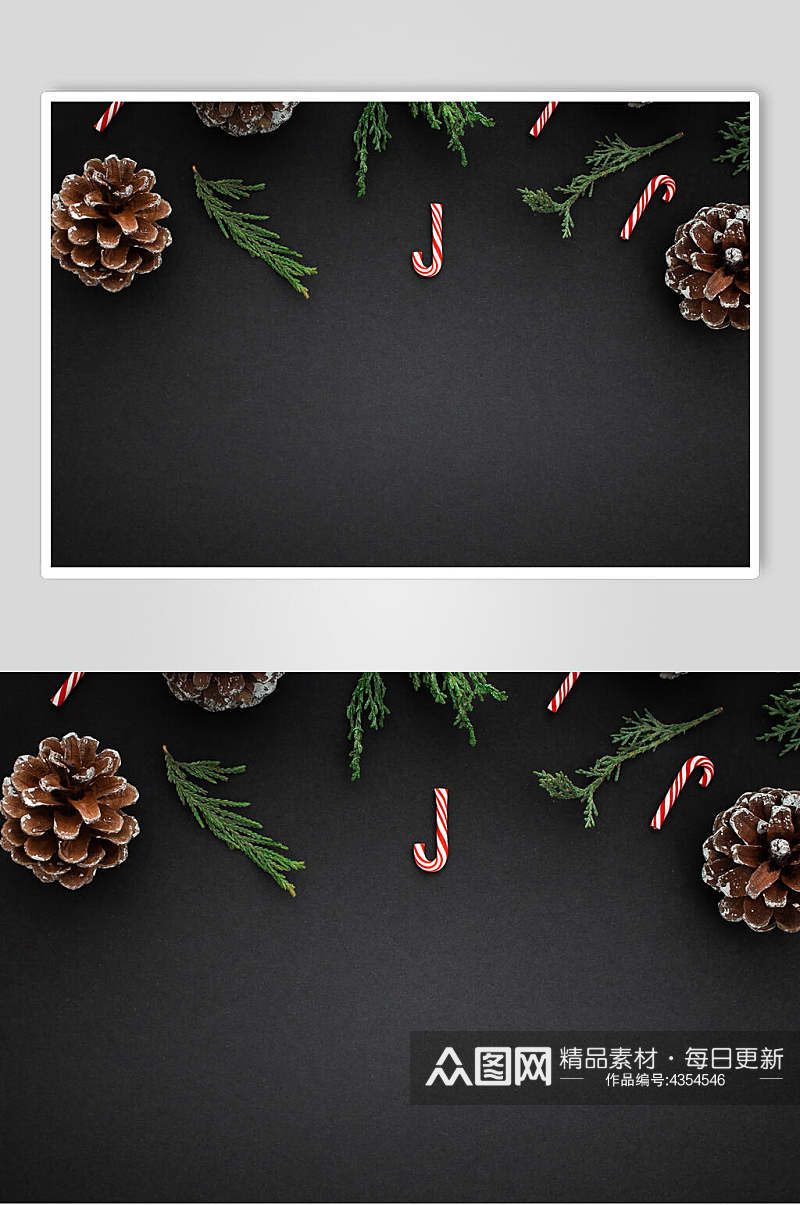 黑色背景松树球树叶圣诞节图片素材