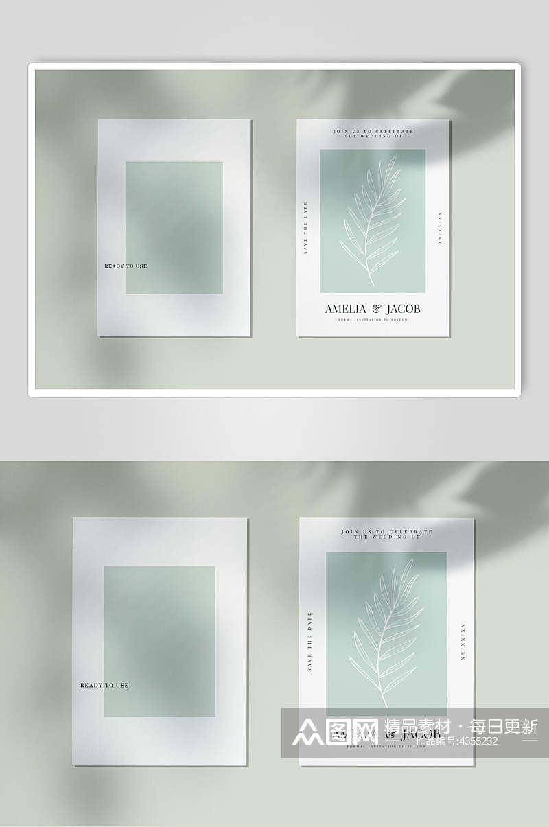 白色边框北欧自然光影植物单页样机素材