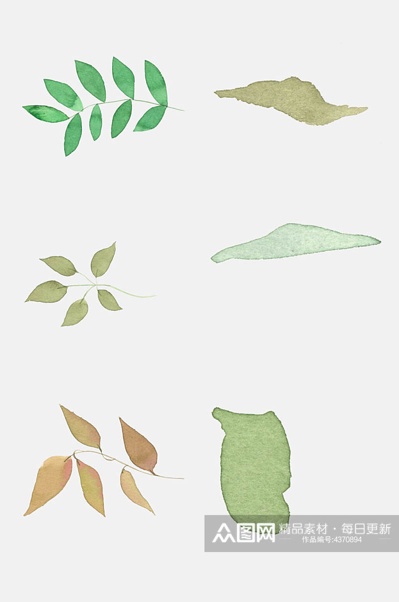 水彩叶子植物免抠素材素材