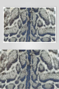 豹纹毛绒材质贴图