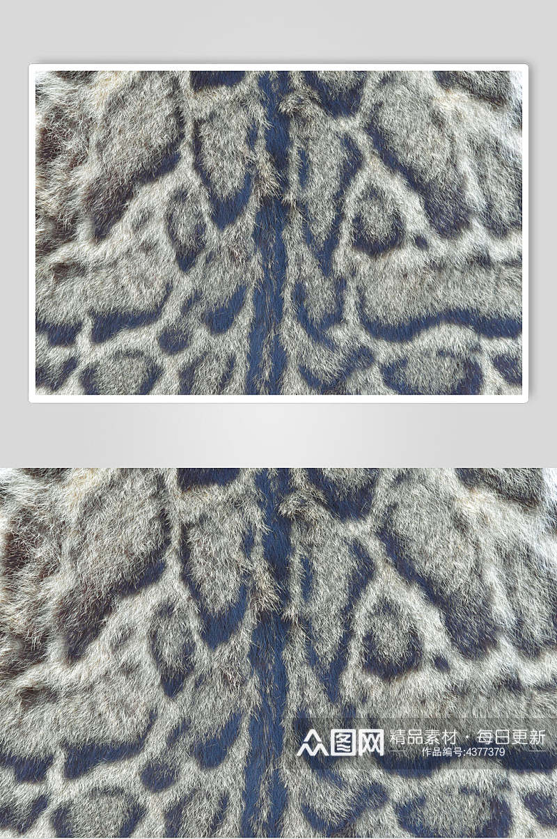 豹纹毛绒材质贴图素材