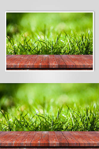 绿色青草木台木板图片