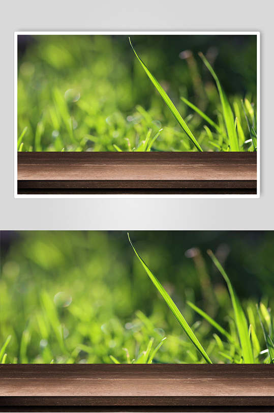 朦胧叶子大气高端绿色木台木板图片