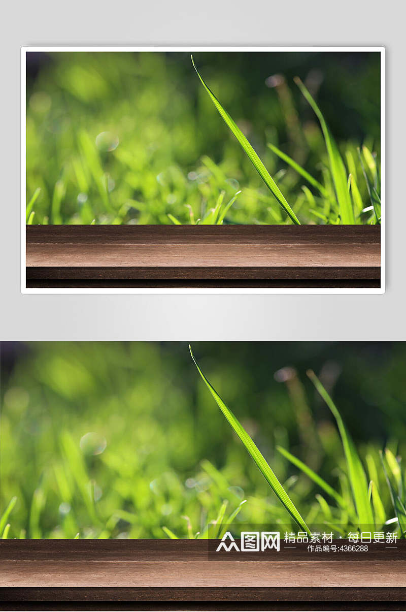 朦胧叶子大气高端绿色木台木板图片素材