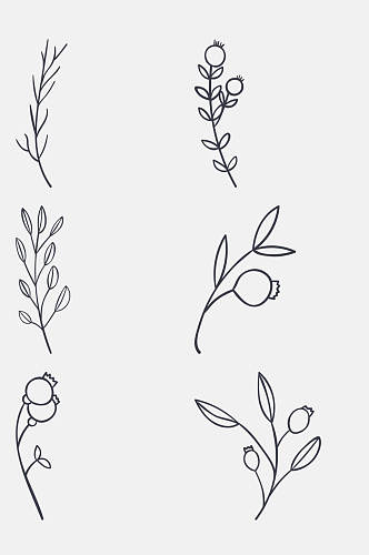 手绘植物线稿花卉免抠素材