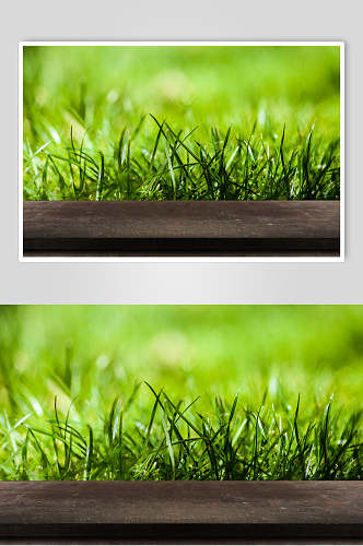 木台木板绿草丛生图片