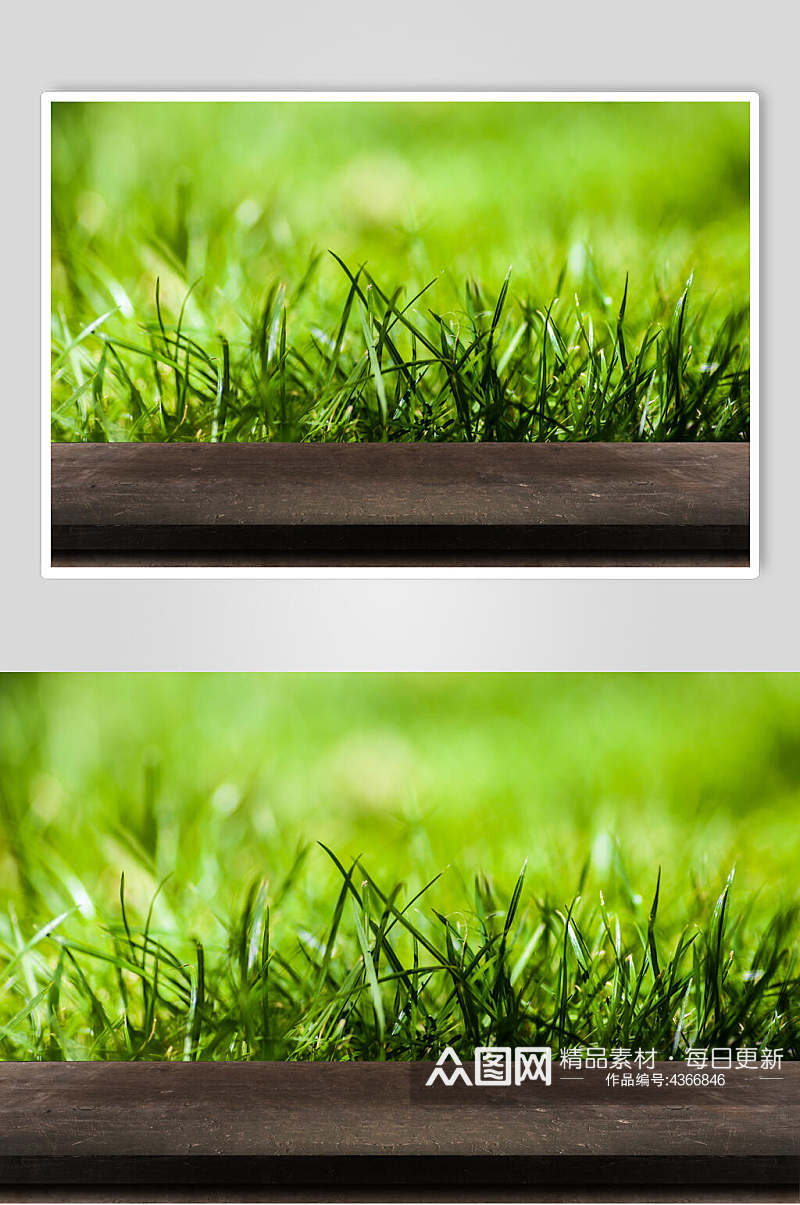 木台木板绿草丛生图片素材