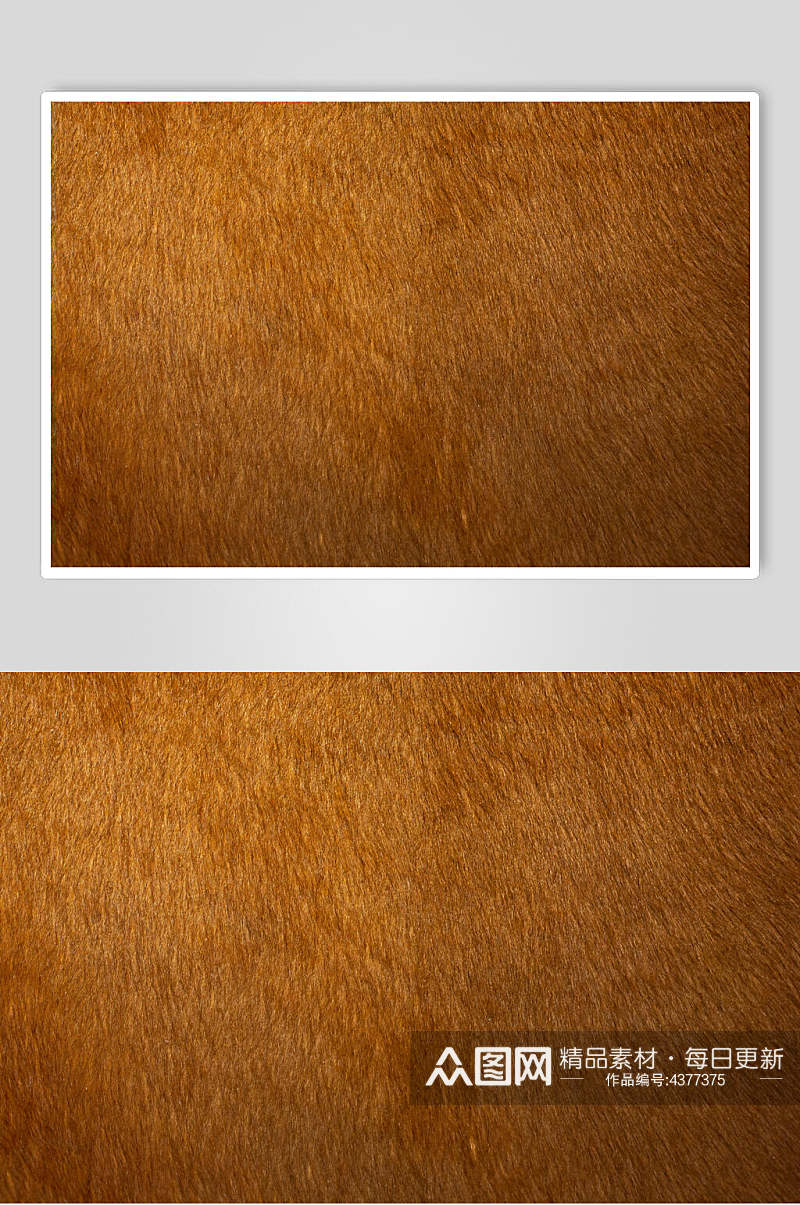 棕色毛绒材质贴图素材