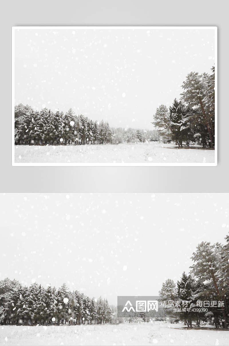灰白色树林雪花自然雪景风景图片素材