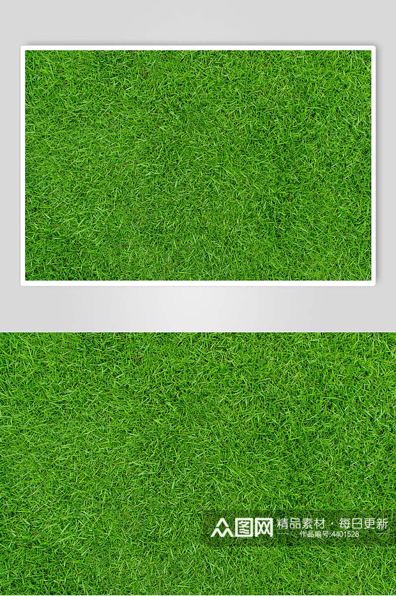 原生态绿植草地植被纹理图片素材