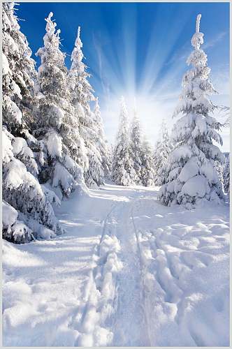 风景如画的自然雪景风景图片