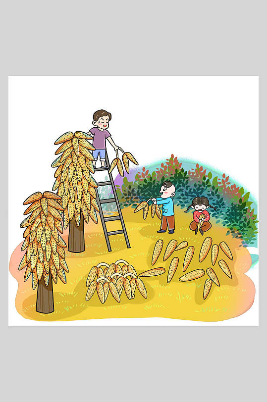 大玉米树叶农民丰收节插画