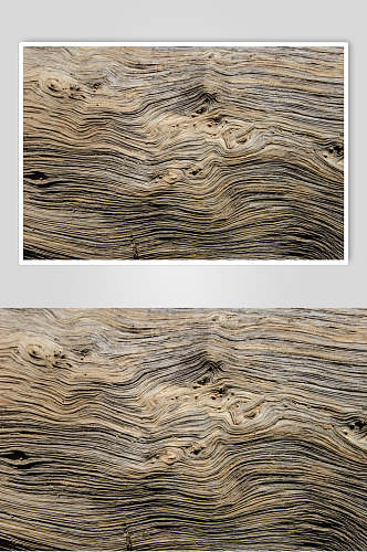 木材原木自然木木纹面图片