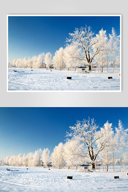 时尚自然雪景风景图片