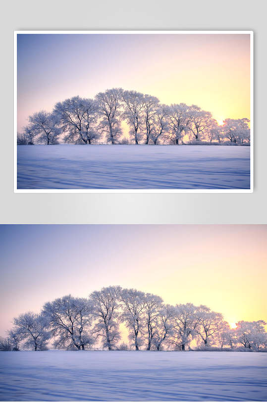 日光树林冬天雾凇岛风光摄影图片