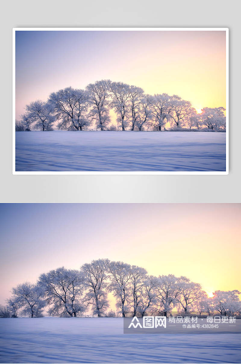 日光树林冬天雾凇岛风光摄影图片素材