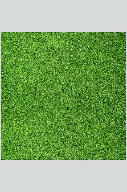 正方形仿真绿色草坪草地植被纹理图片