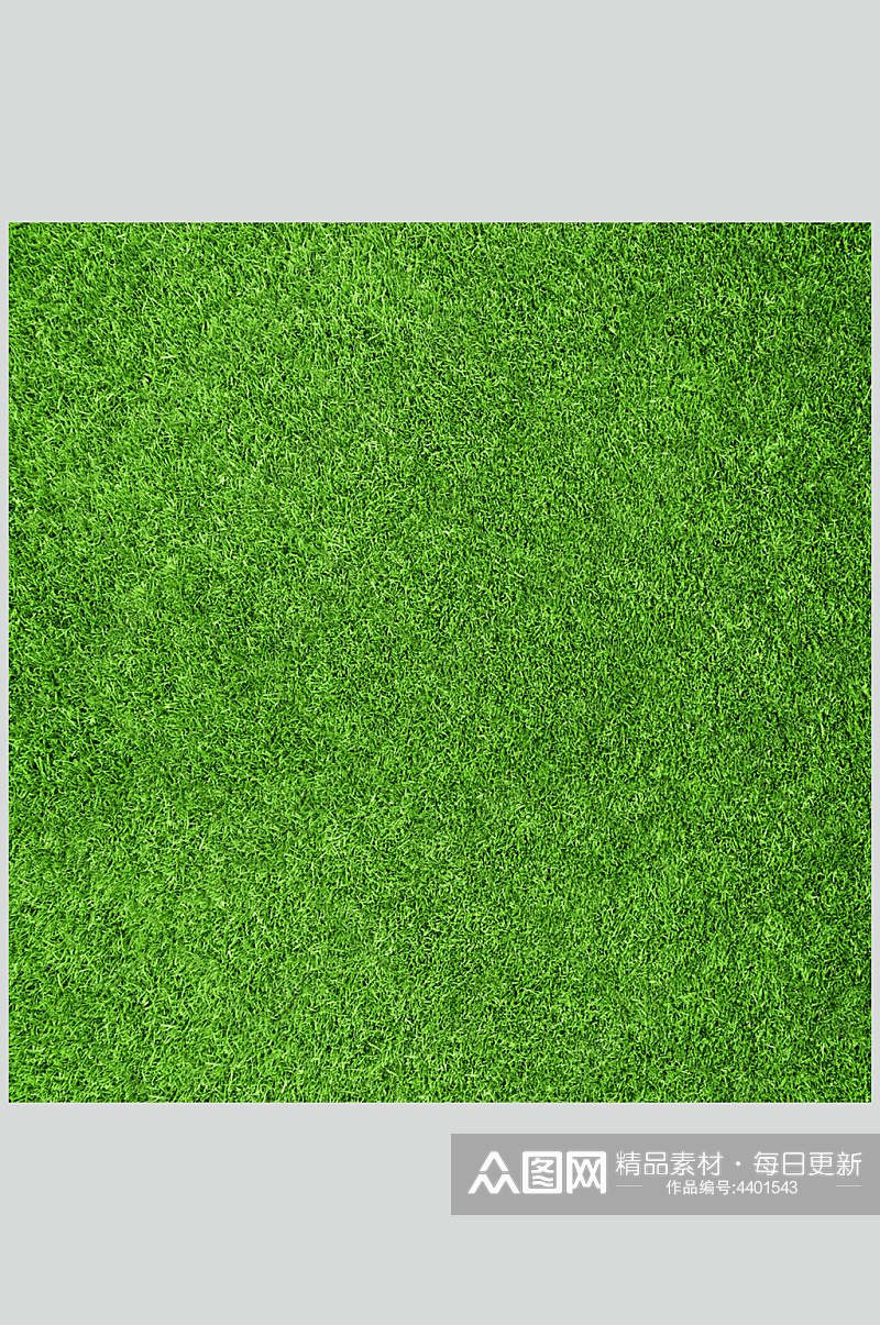 正方形仿真绿色草坪草地植被纹理图片素材