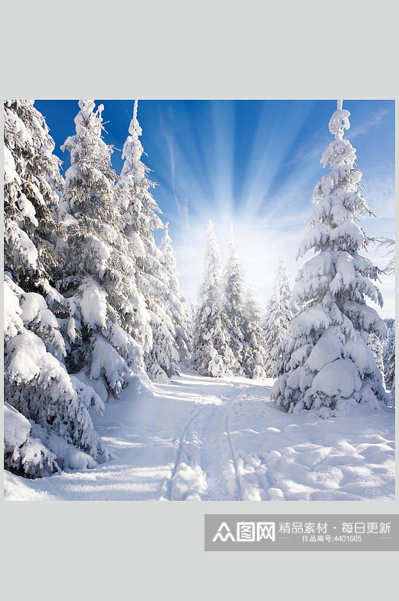 冬季自然雪景风景图片素材