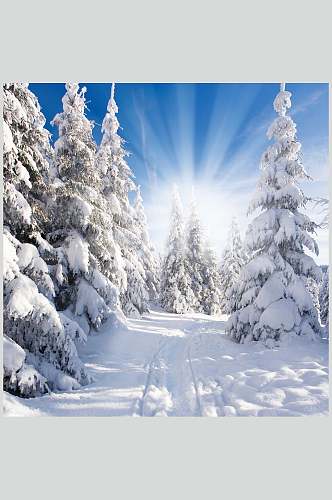 冬季自然雪景风景图片