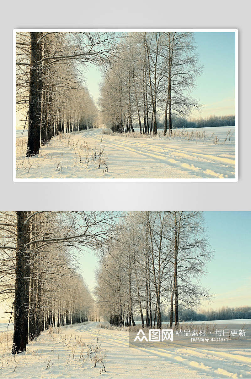 冬季自然雪景风景图片素材