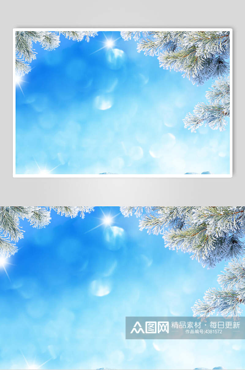 蓝色闪亮松树结霜冬季雪景高清图片素材