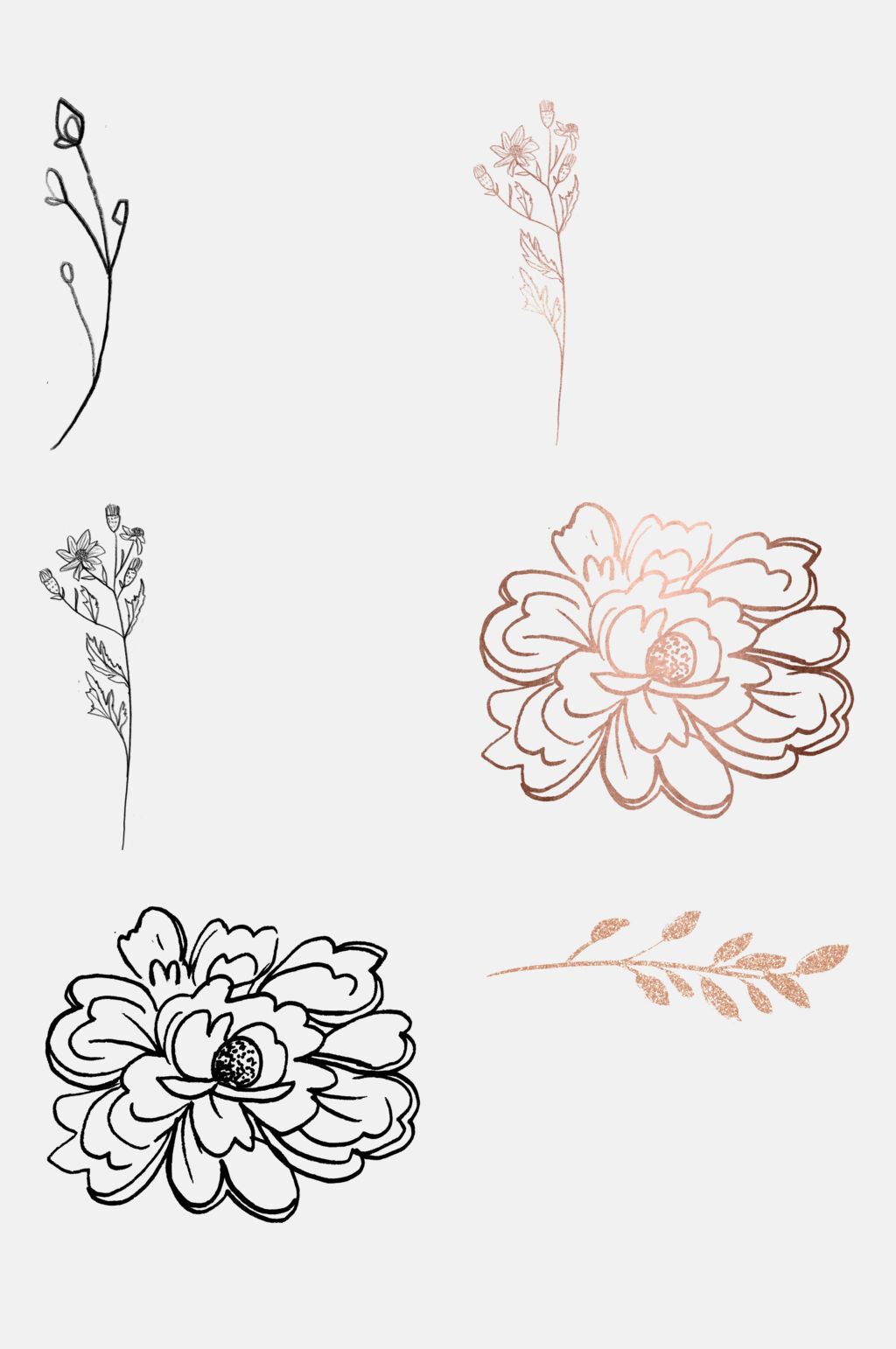 简约线描花卉免抠素材素材
