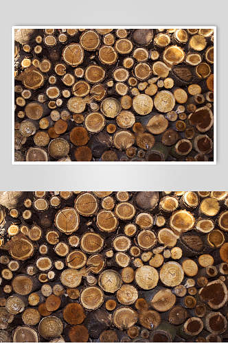 密集圆木桩木纹面图片