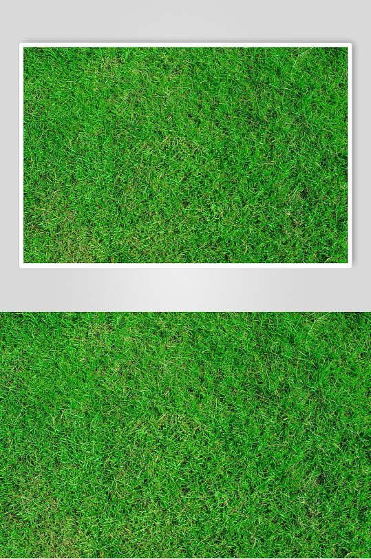 草皮绿色草地植被纹理图片