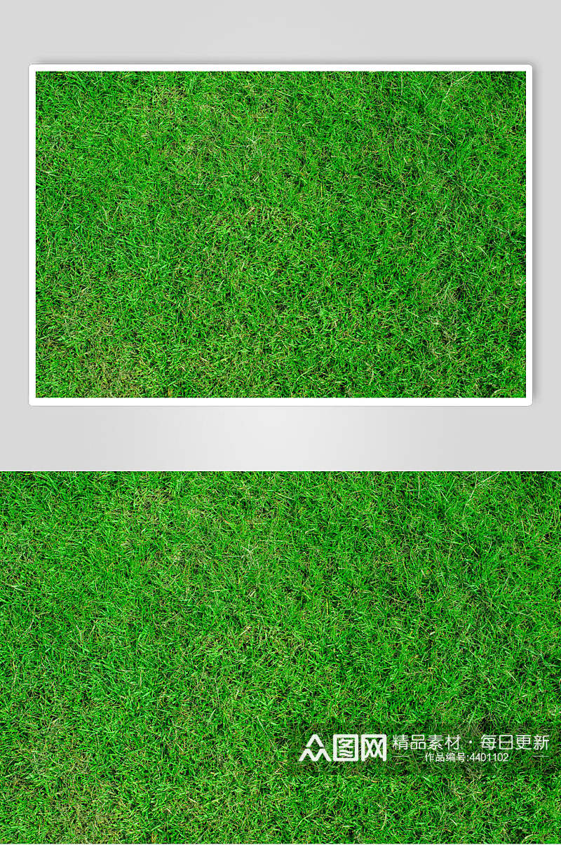 草皮绿色草地植被纹理图片素材