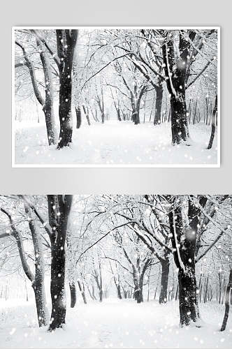 精选自然雪景风景图片