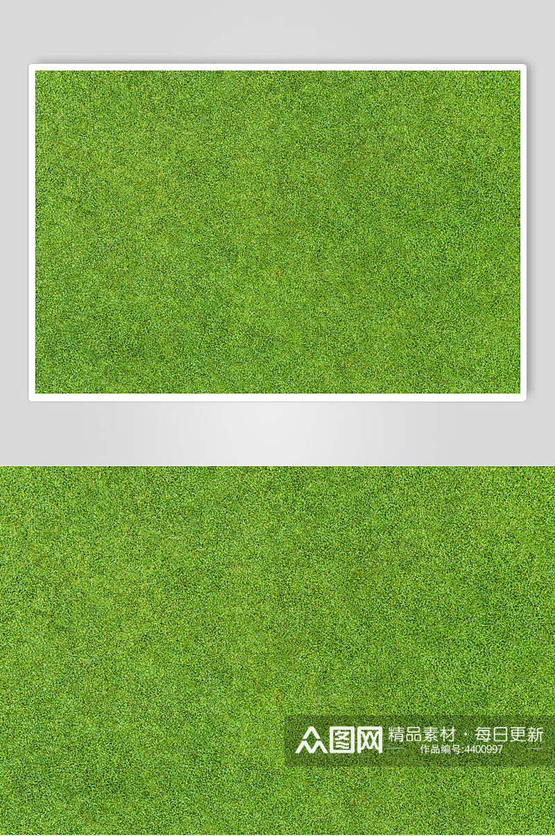 绿色平整草地植被纹理图片素材