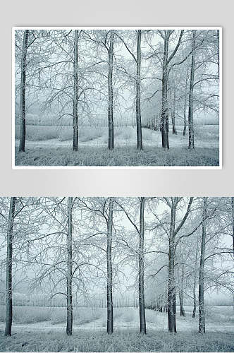 精选自然雪景风景图片