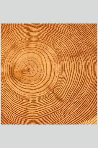 年轮圆木桩木纹面图片