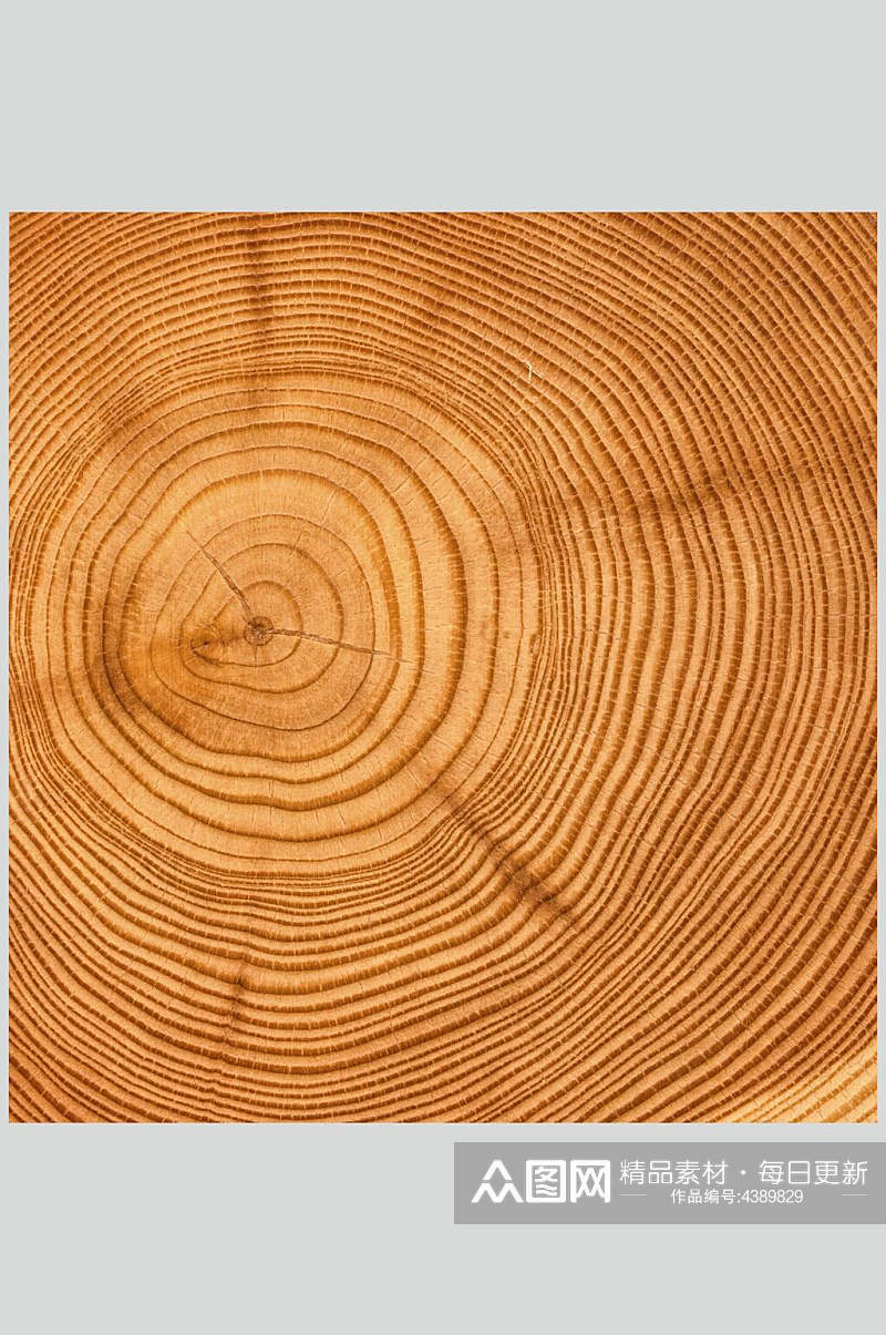 年轮圆木桩木纹面图片素材