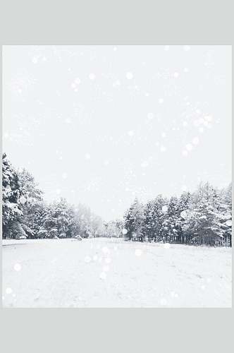 精品自然雪景风景图片