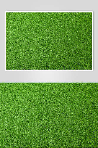 绿色草地植被纹理图片