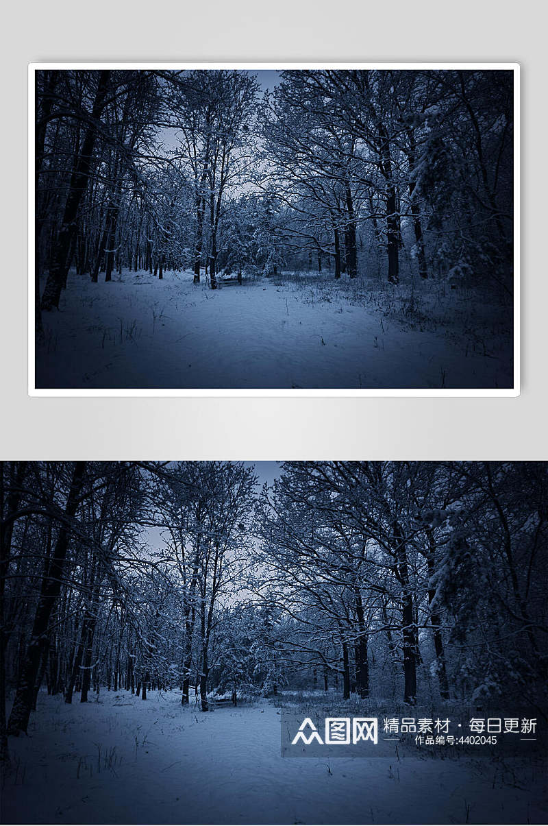 冬季森林雪地自然雪景风景图片素材