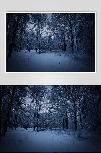 冬季森林雪地自然雪景风景图片