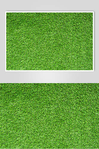 草地植被绿色纹理图片