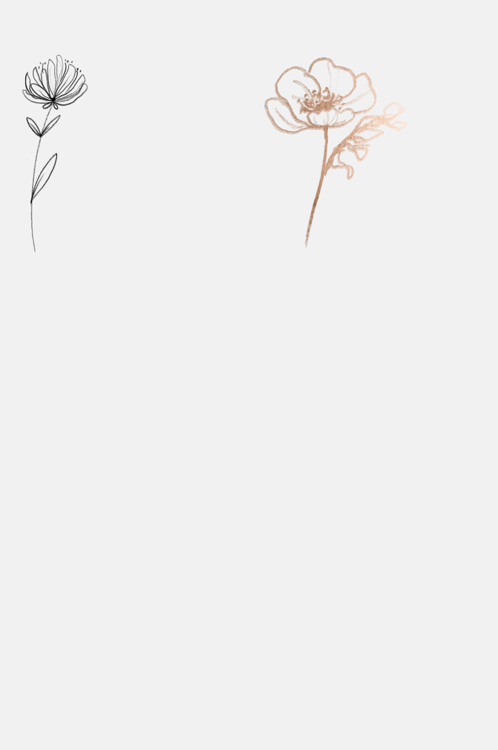 手绘线描花卉免抠素材素材