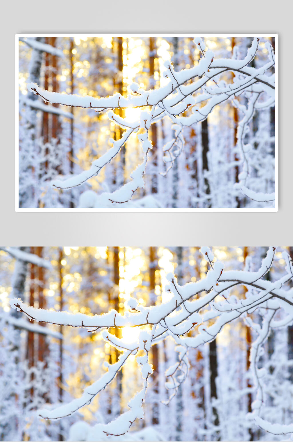 冬季雪景高清图片素材