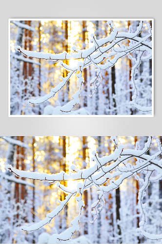 冬季雪景高清图片